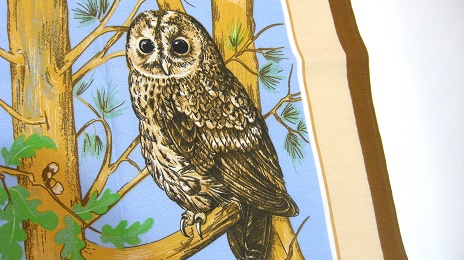 アイルランド ティータオル フクロウ：A WISE OLD OWL